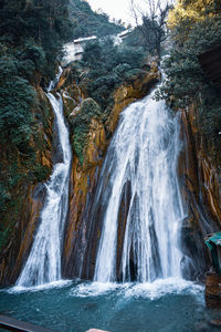 Scenic view of waterfall in forest