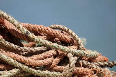 Close-up of ropes at harbor