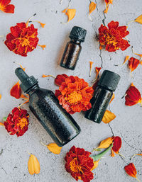 High angle view of various flowers on table