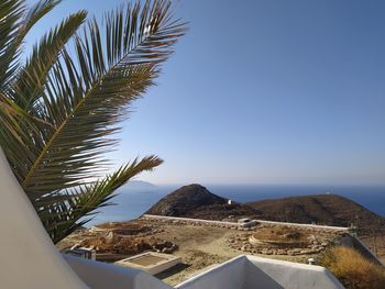 Palm tree overlooking sea against clear blue sky