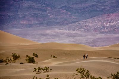 Scenic view of desert
