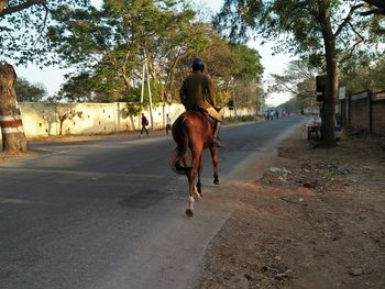 Rear view of man riding horse on road