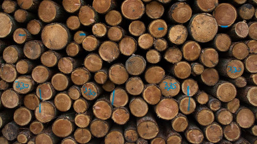 Full frame shot of logs