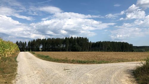 Panoramic shot of road amidst trees against sky