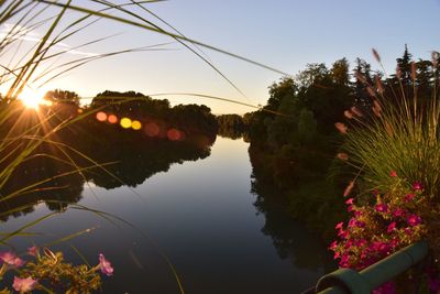 Scenic view of calm lake amidst trees with reflection against clear sky during sunset