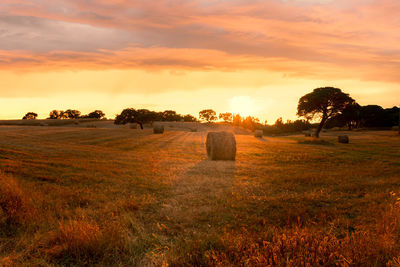 Hay bales on field against sky during sunset