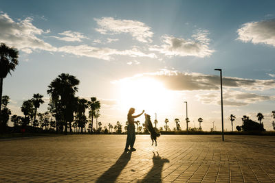 Side view silhouette of content female owner with ball playing with funny border collie dog while standing on street during sunset in summer