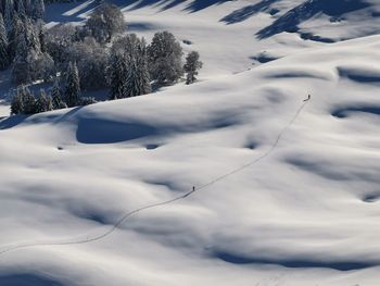 Scenic view of snow covered land and trees