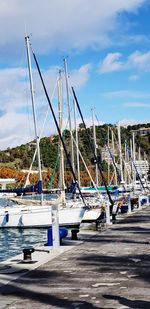 Sailboats moored at harbor against sky