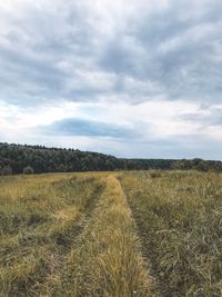 Scenic view of field against sky