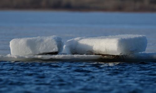 ice