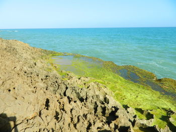 Scenic view of sea against clear sky