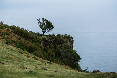 Scenic view of cliff by sea against sky