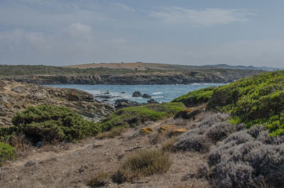 Scenic view of land against sky