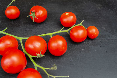 High angle view of tomatoes on table