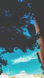 Low angle view of man on tree against sky