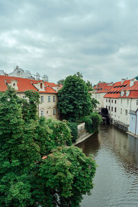 Trees and buildings by river against sky