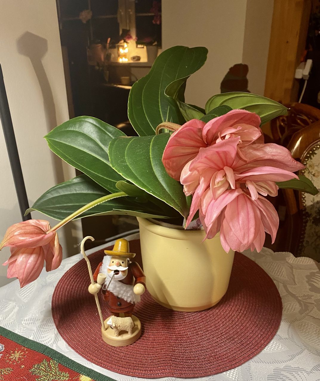 CLOSE-UP OF ROSE IN VASE ON TABLE