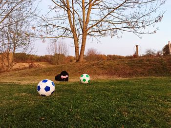 Soccer ball on field against sky