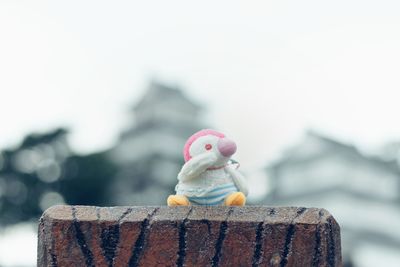 Close-up of stuffed toy on wood against sky