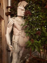 Close-up of statue