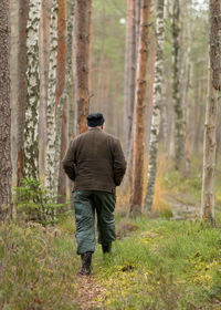 Rear view of man walking in forest