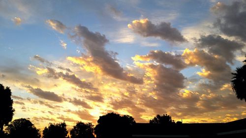 Silhouette of trees at sunset