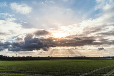 Scenic view of field against sky during sunset