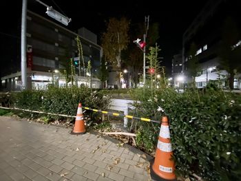 Traffic cones on street in city at night