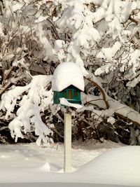 Close-up of snow