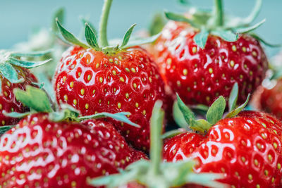 Close-up of strawberries