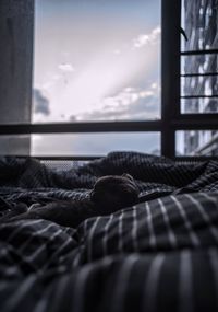 Close-up of person sleeping on bed at home