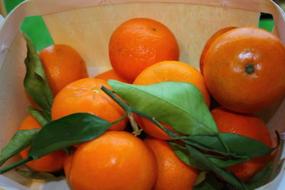 Close-up of vegetables