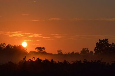 Scenic view of silhouette trees growing against cloudy sky during sunset