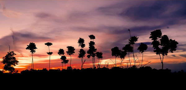 Silhouette trees against dramatic sky during sunset