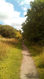 Road amidst trees on field against sky