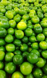 Full frame shot of green chili peppers