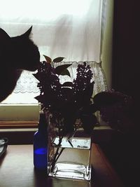 Close-up of flower vase on table at home