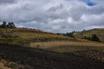 Scenic view of landscape against sky