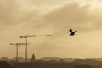 Low angle view of silhouette birds flying against sky