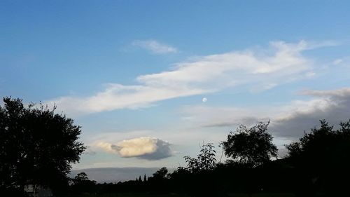 Low angle view of silhouette trees against sky