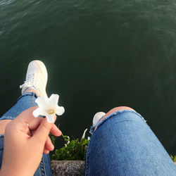 Low section of woman holding flower while sitting on wall by sea