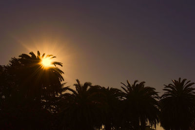 Low angle view of silhouette trees against sky at sunset