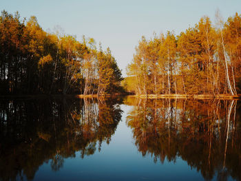 Reflection of trees in lake against sky during autumn