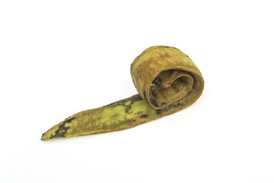 High angle view of bananas against white background