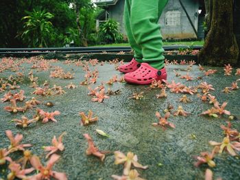 Low section of person standing on autumn leaves