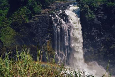 Scenic view of waterfall in forest, victoria falls, zimbabwe 