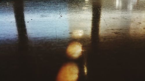 Reflection of trees in water