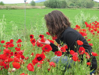 Rear view of poppies on field