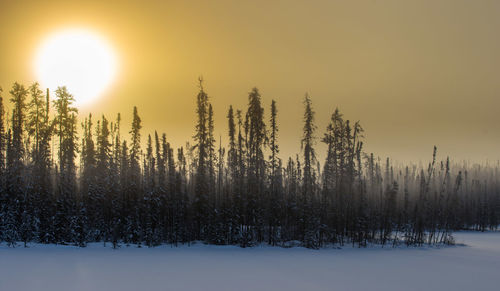 Scenic view of snow covered land against sky during sunset